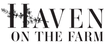 logo-haven